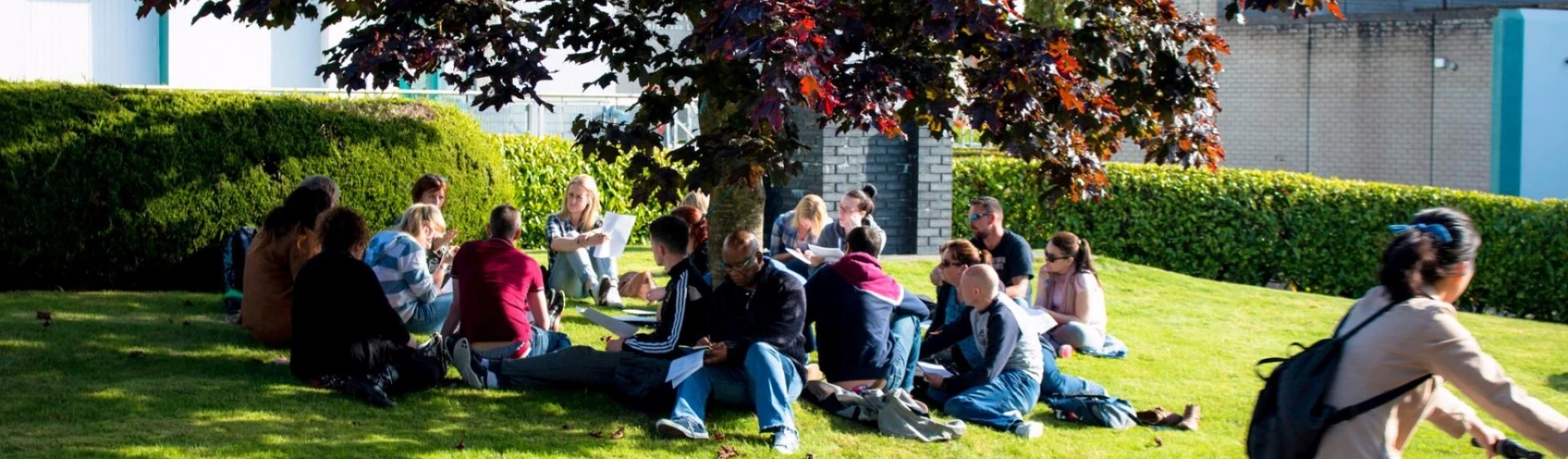 الحياة في نيوزيلندا