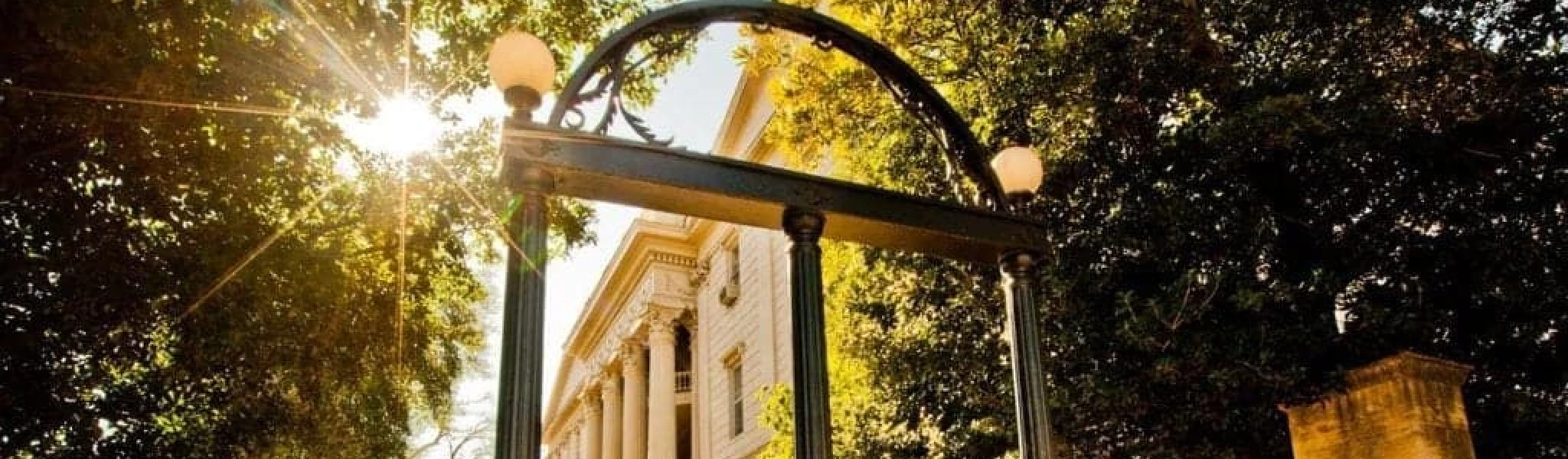 The higher education system in Georgia