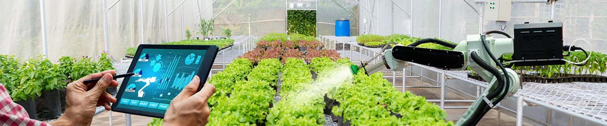 Your guide to know everything you need about studying Agribusiness