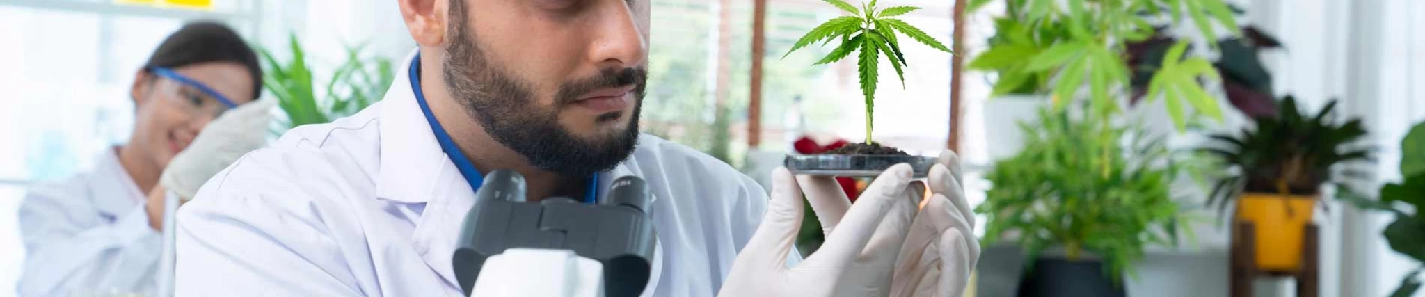 Your guide to know everything you need about studying Agriculture & Forestry