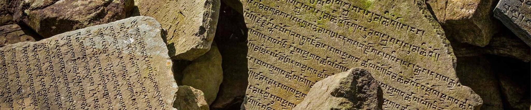 Your guide to know everything you need about studying Ancient History