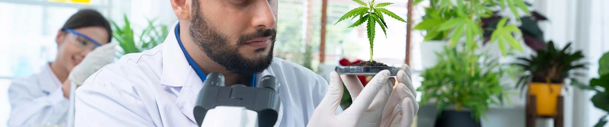 Your guide to know everything you need about studying Biochemistry