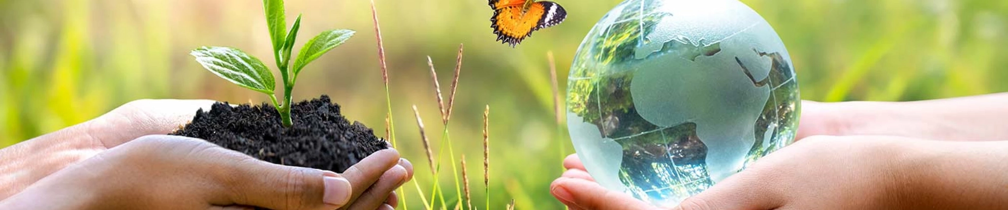 Your guide to know everything you need about studying Biodiversity & Conservation