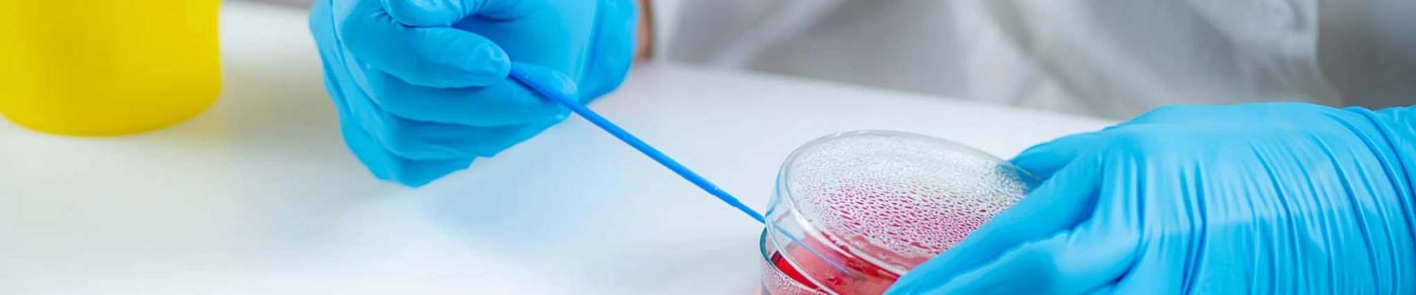 Your guide to know everything you need about studying Biomedical Science