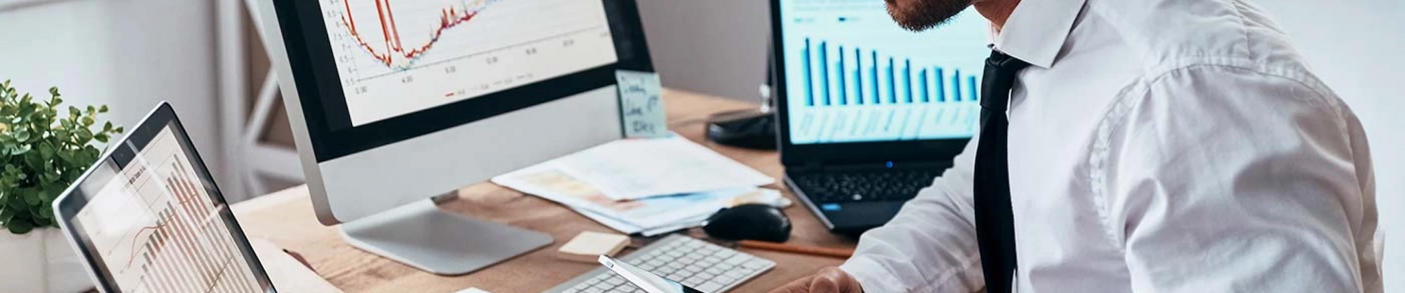 Your guide to know everything you need about studying Business Intelligence