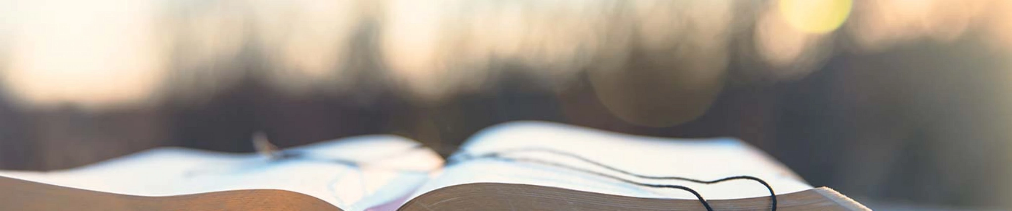 Your guide to know everything you need about studying الدراسات المسيحية