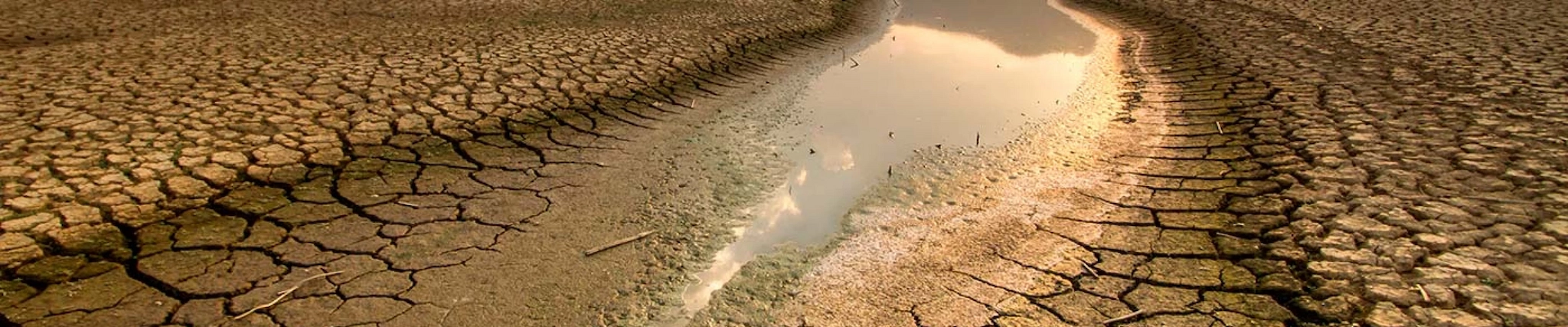 Your guide to know everything you need about studying Climate Studies & Meteorology