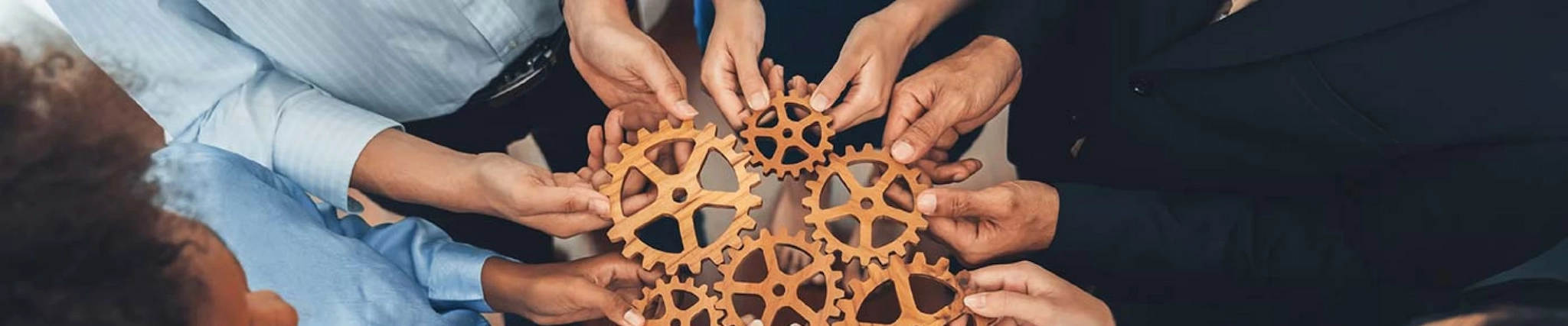 Your guide to know everything you need about studying Community Development