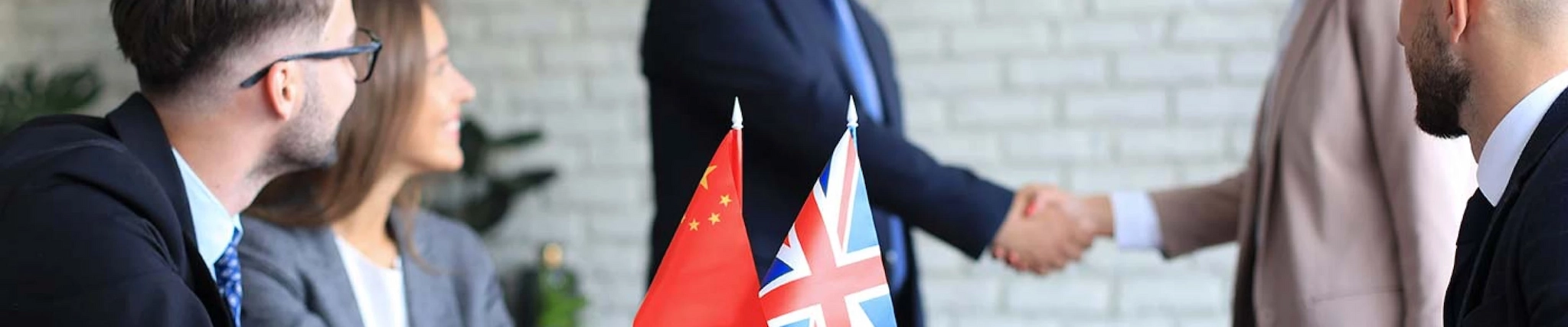 Your guide to know everything you need about studying Diplomacy