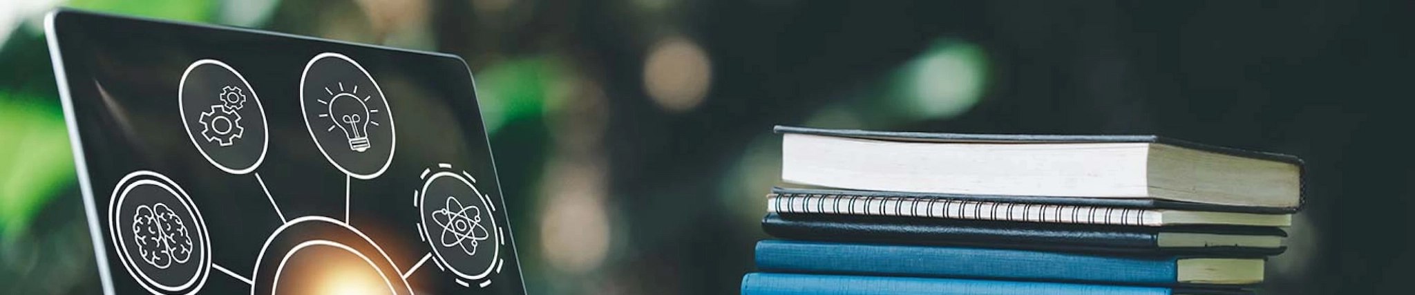 Your guide to know everything you need about studying Education & Training