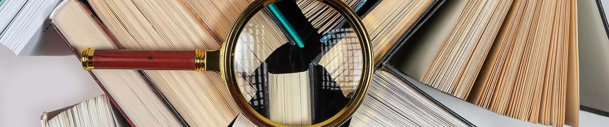 Your guide to know everything you need about studying Educational Research