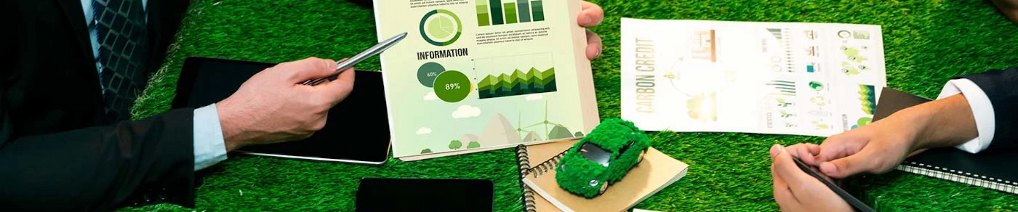 Your guide to know everything you need about studying Environmental Management