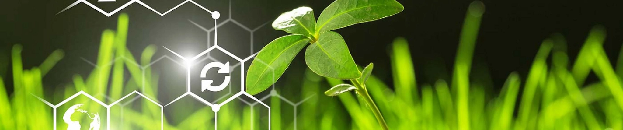 Your guide to know everything you need about studying Environmental Sciences