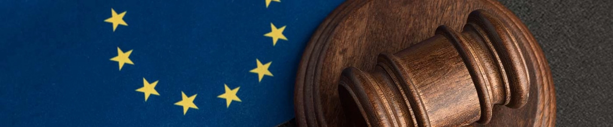 Your guide to know everything you need about studying European Law
