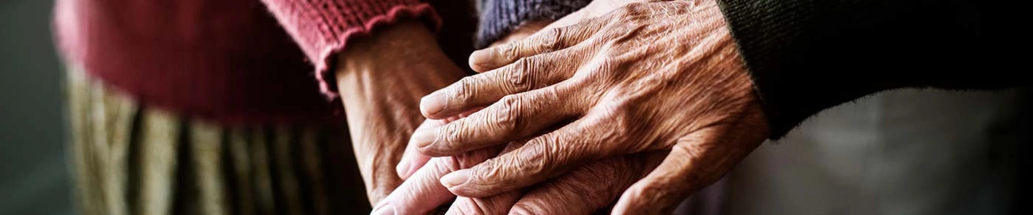 Your guide to know everything you need about studying Gerontology