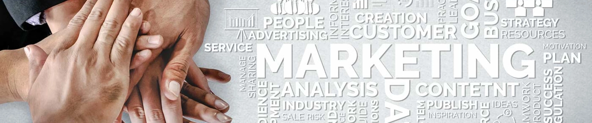 Your guide to know everything you need about studying Marketing