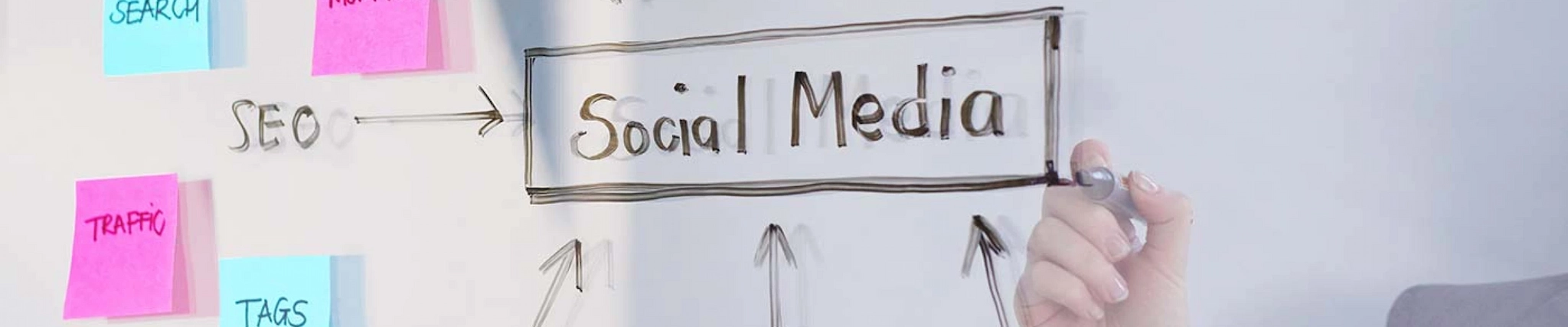 Your guide to know everything you need about studying Media Management