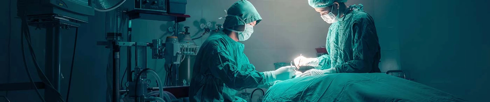 Your guide to know everything you need about studying Medicine & Health