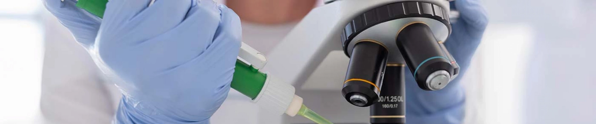 Your guide to know everything you need about studying Microbiology