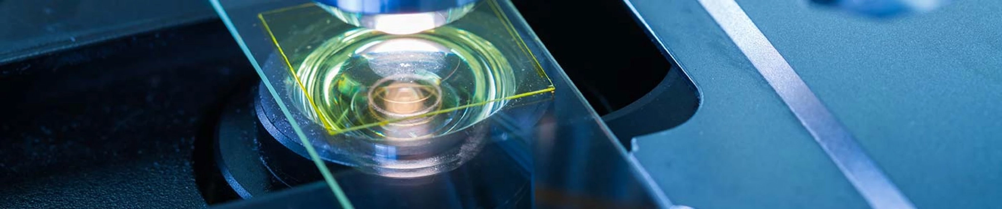 Your guide to know everything you need about studying Nanoscience and Nanotechnology