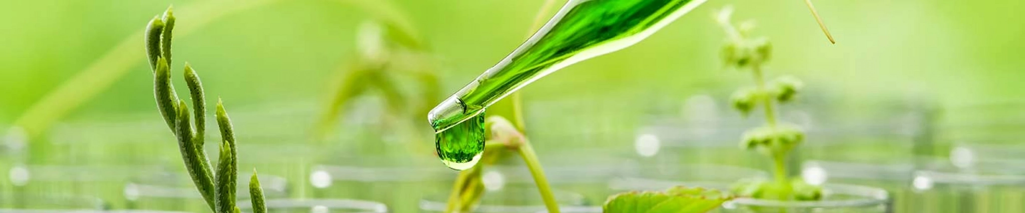 Your guide to know everything you need about studying Natural Sciences