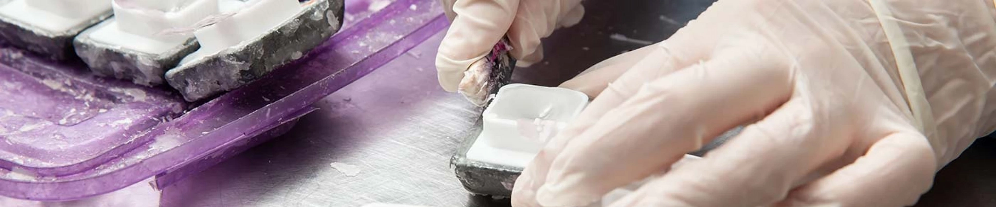 Your guide to know everything you need about studying Pathology