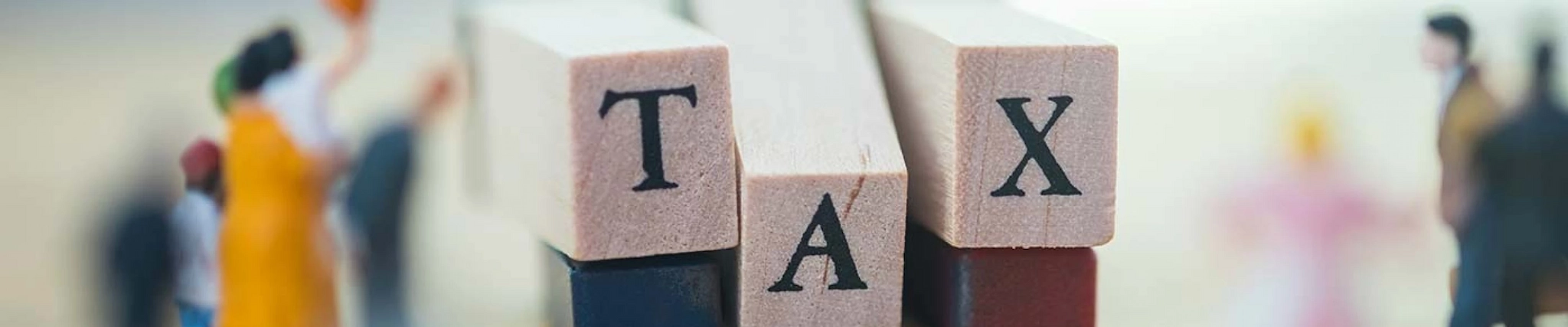 Your guide to know everything you need about studying Taxation