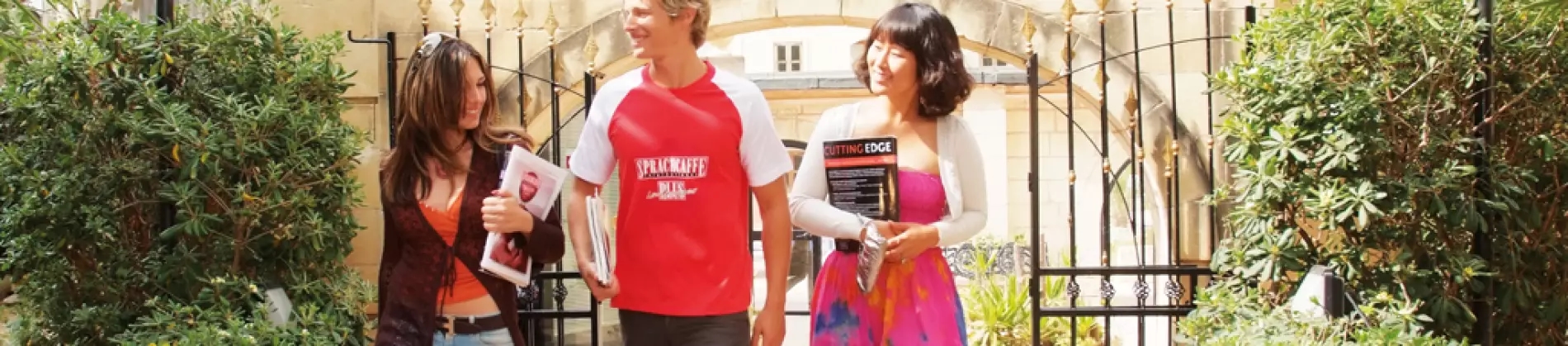 معهد شبراخ كافي