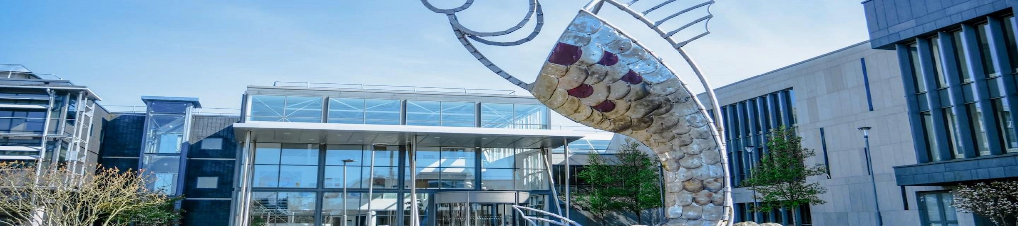 Institute of Technology Sligo in Ireland