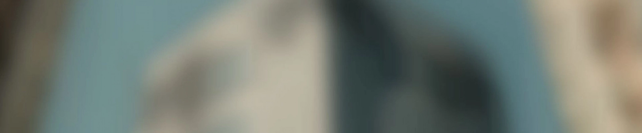 Academy of Live and Recorded Arts in United Kingdom