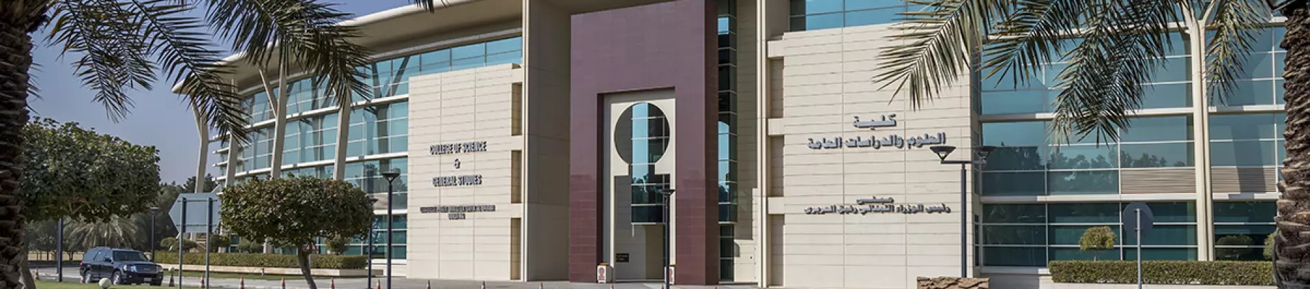 جامعة الفيصل