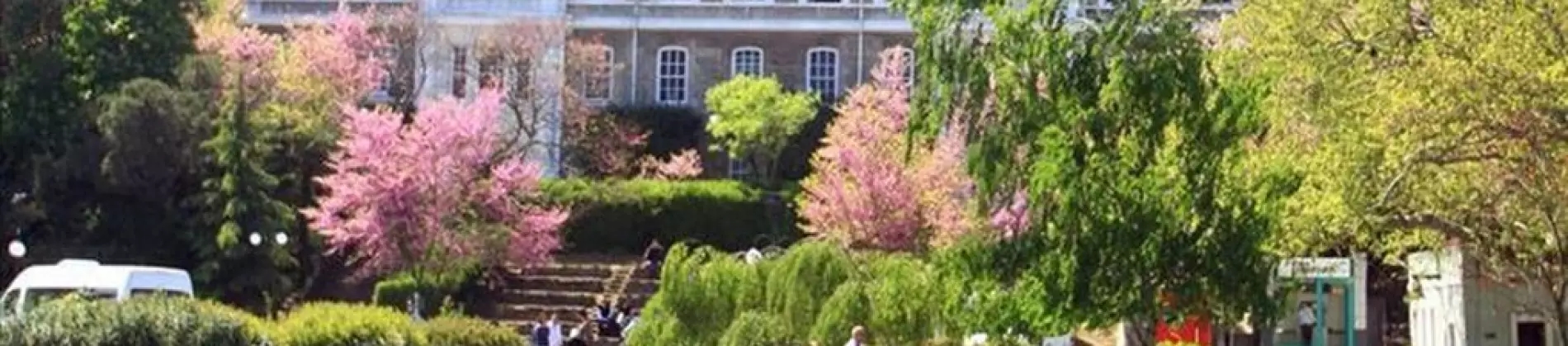 جامعة البوسفور