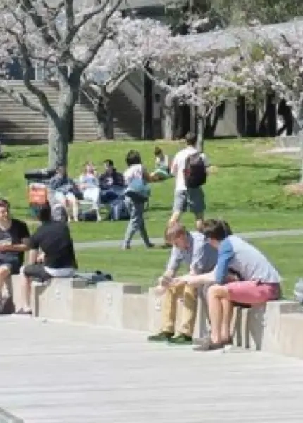 University of Waikato in New Zealand