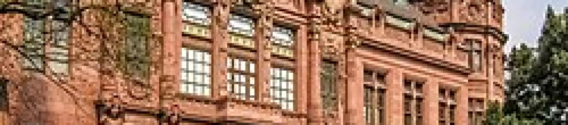 جامعة هايدلبرغ