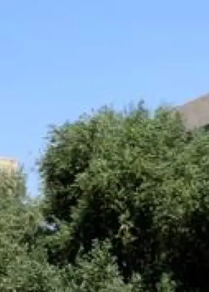 جامعة الشرق الأوسط في الأردن