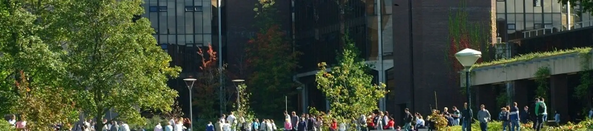 University of Limerick in Ireland