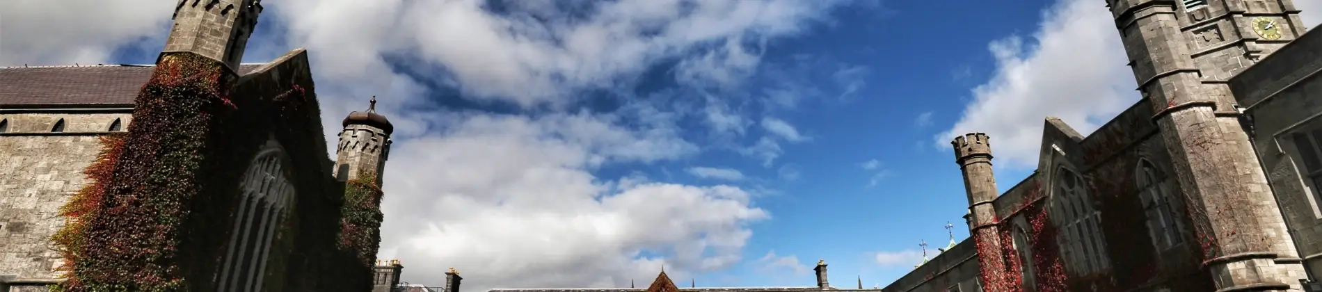 الجامعة الوطنية في أيرلندا، غالواي في أيرلندا