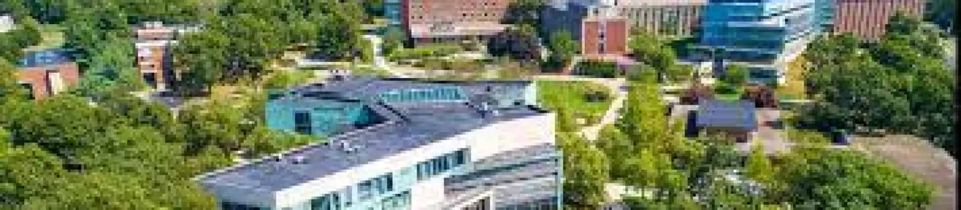 جامعة براندايس في الولايات المتحدة