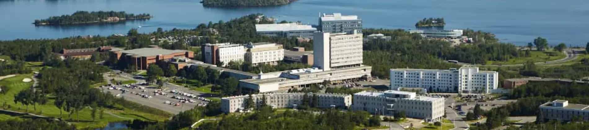 Human Studies and Interdisciplinarity