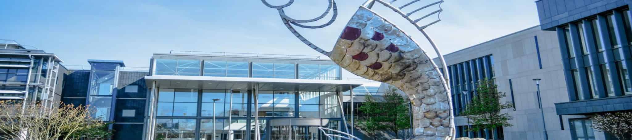 العلوم الصيدلانية الصناعية (عبر الإنترنت)