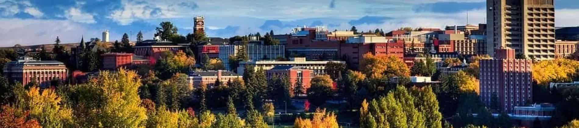 Master in Teaching -Secondary