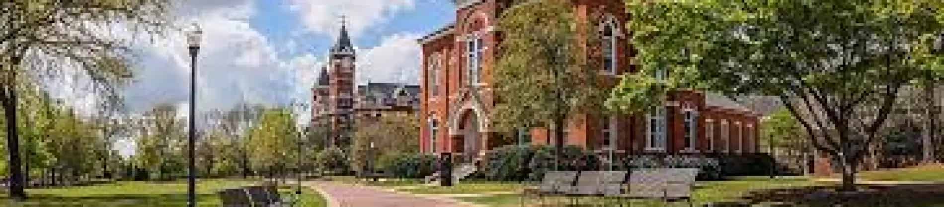 Pulp and Paper Engineering