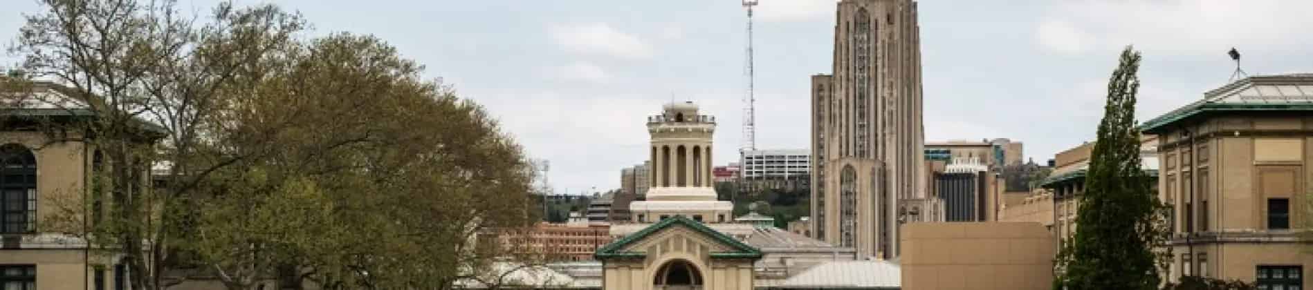 أساسيات الأعمال للمهنيين التحليلات