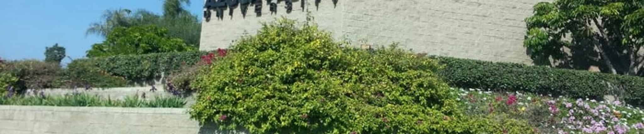 الكيمياء الحيوية