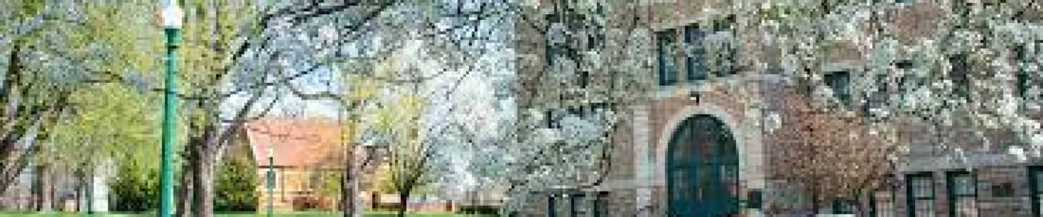 Associate of Arts in Business