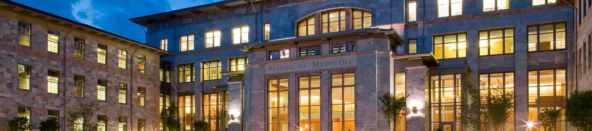 الدراسات الأمريكية الأفريقية