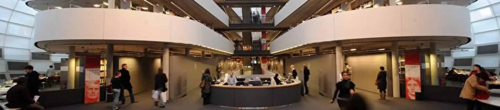 ليسانس الآداب في دراسات أمريكا الشمالية