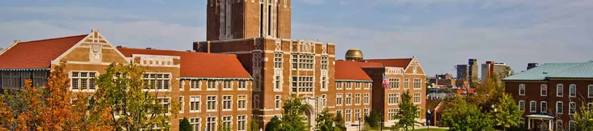 إدارة سلسلة التوريد في إدارة الأعمال - تركيز إدارة المعلومات