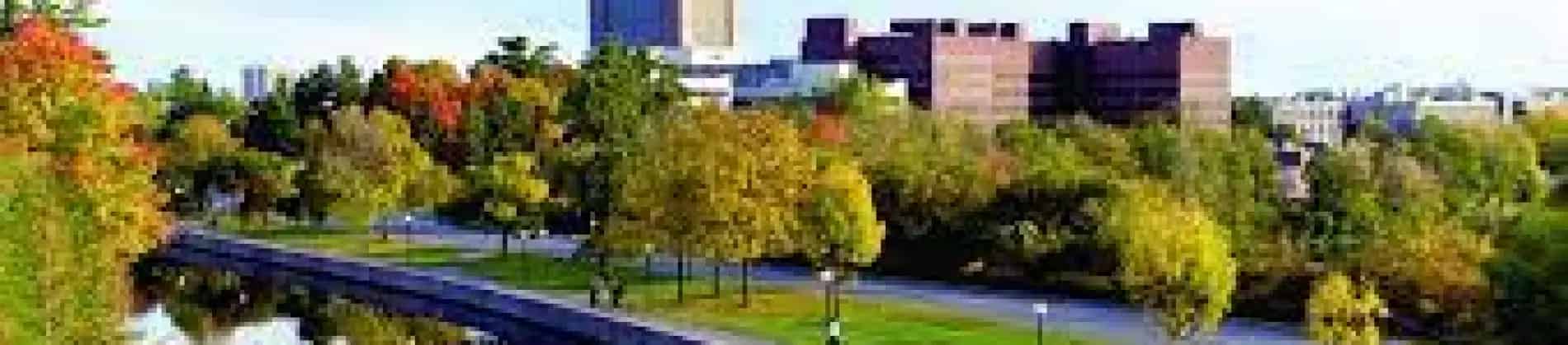 هندسة بيئية