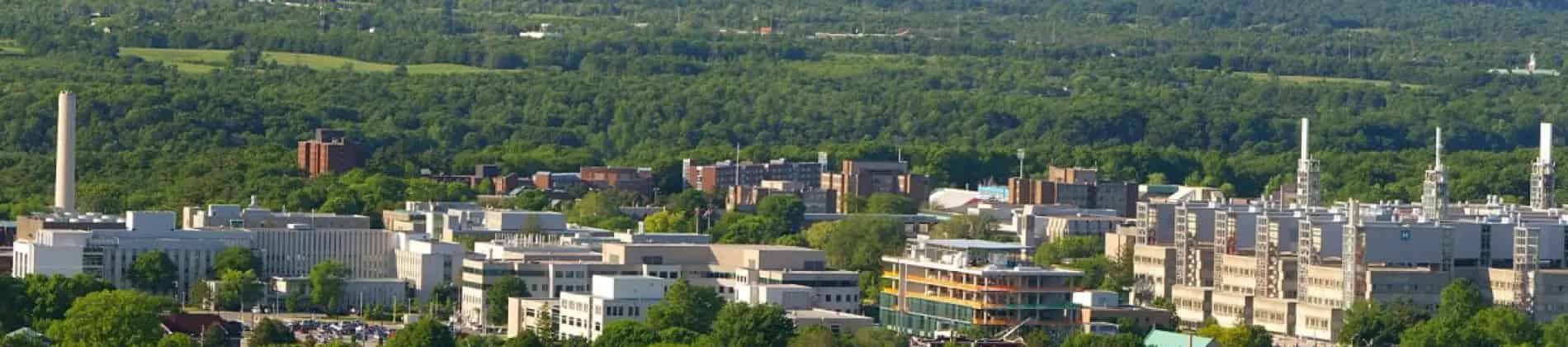 المجتمع والصحة العامة (GDip)